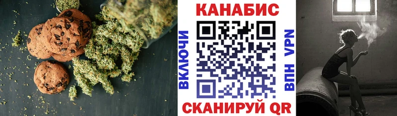 где купить Можга Canna-Cookies конопля