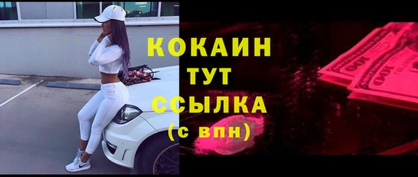 сатива Балахна