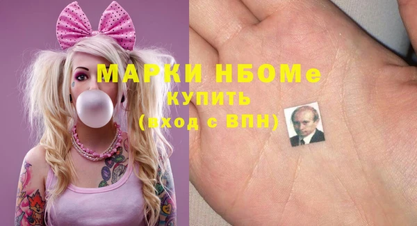 хмурый Арсеньев