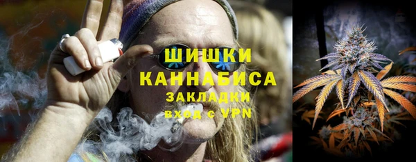 сатива Балахна